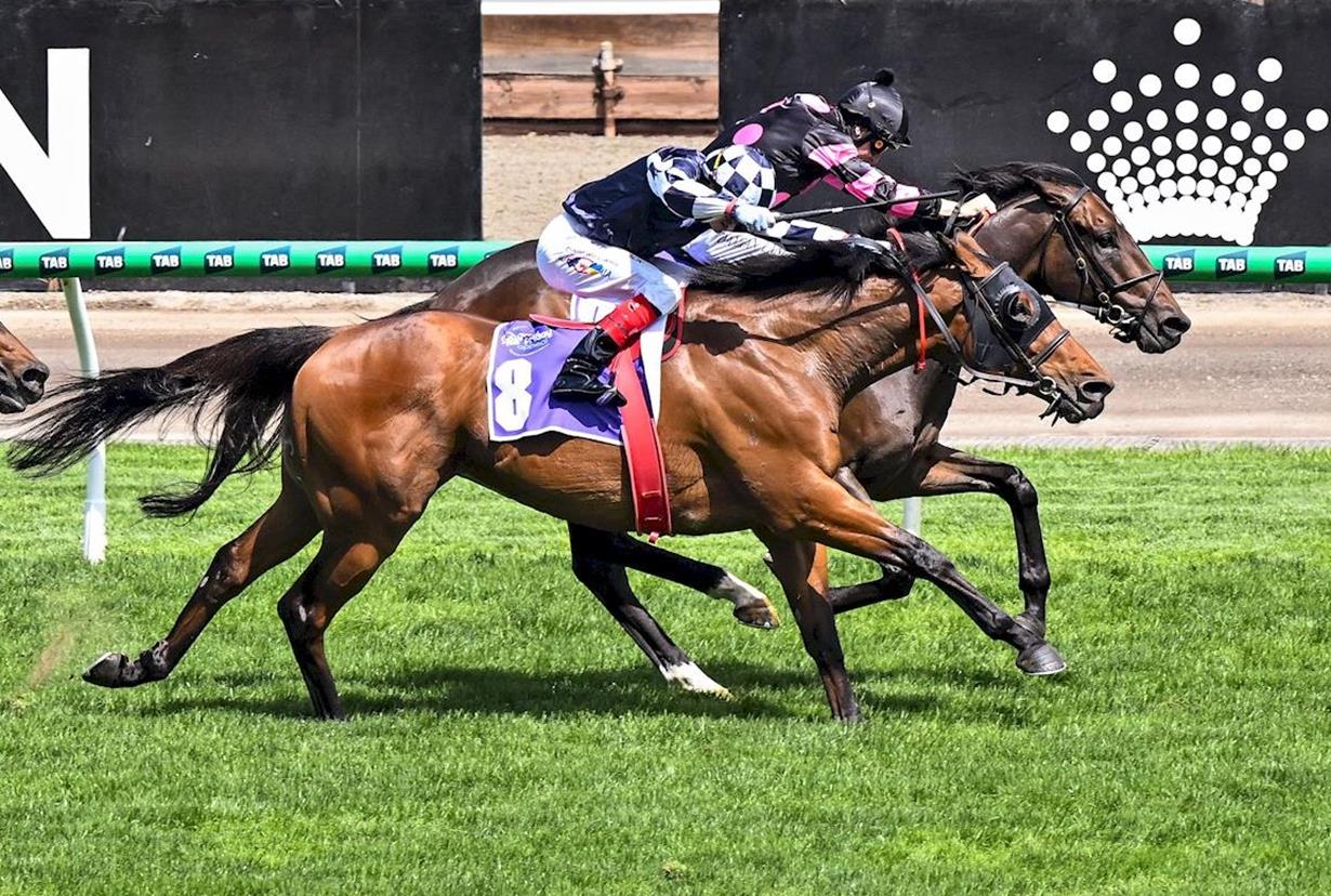 CARNIVAL GLORY ELUDES FARHH FLUNG AGAIN